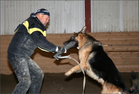 Training in Estonia 11/2007